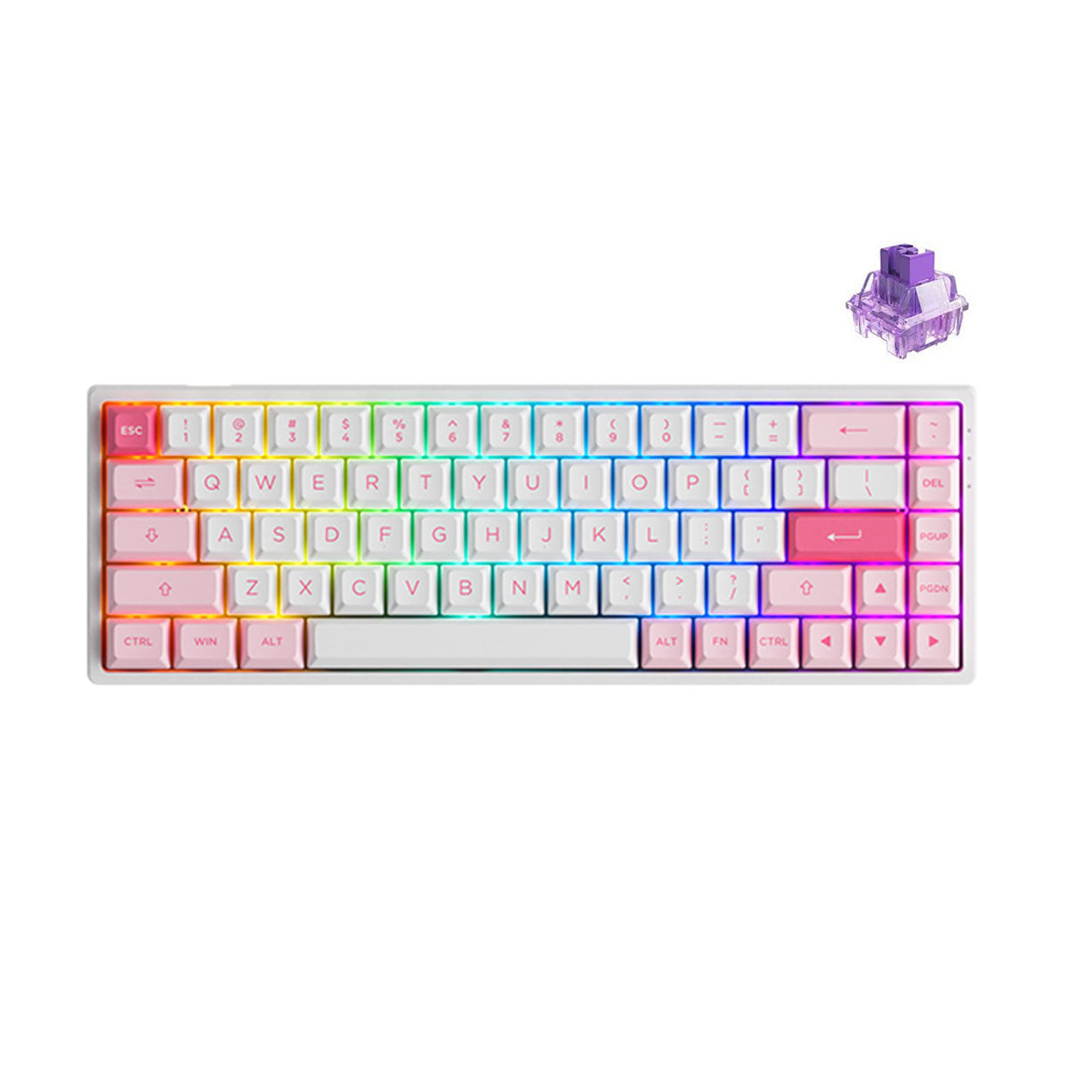 Akko Prunus Lannesiana 3068B Plus Multi-Modes RGB Mechanical Keyboard (Akko CS Jelly Purple)