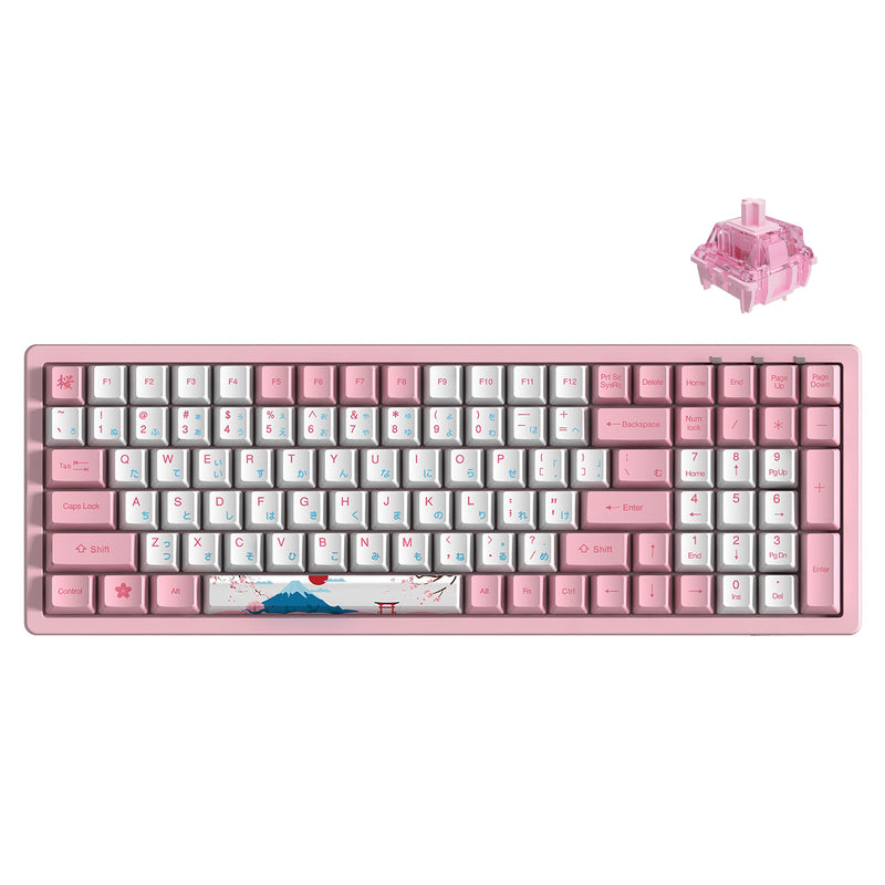 Akko World Tour-Tokyo R2 3096 Mechanical Keyboard (Gateron Pink)