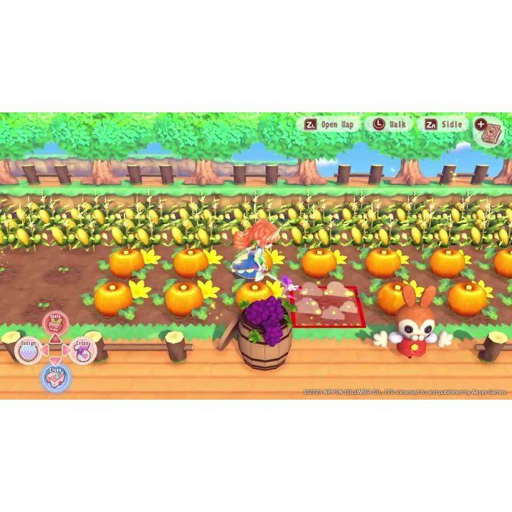 Nintendo Switch Pretty Princess Magical Garden Island