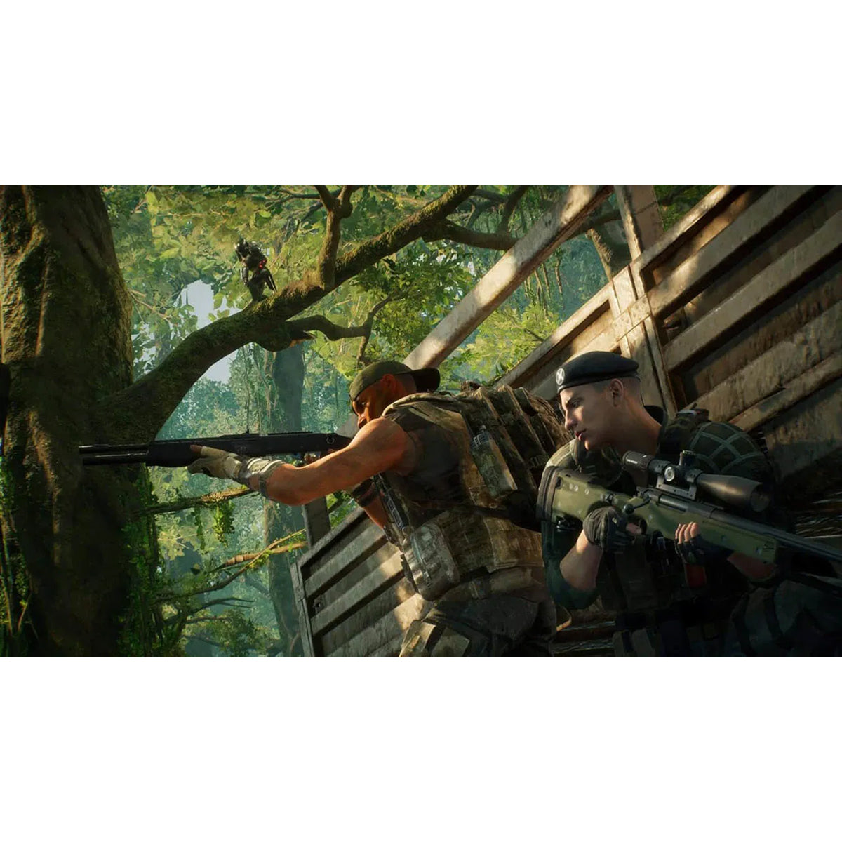 Predator Hunting Grounds