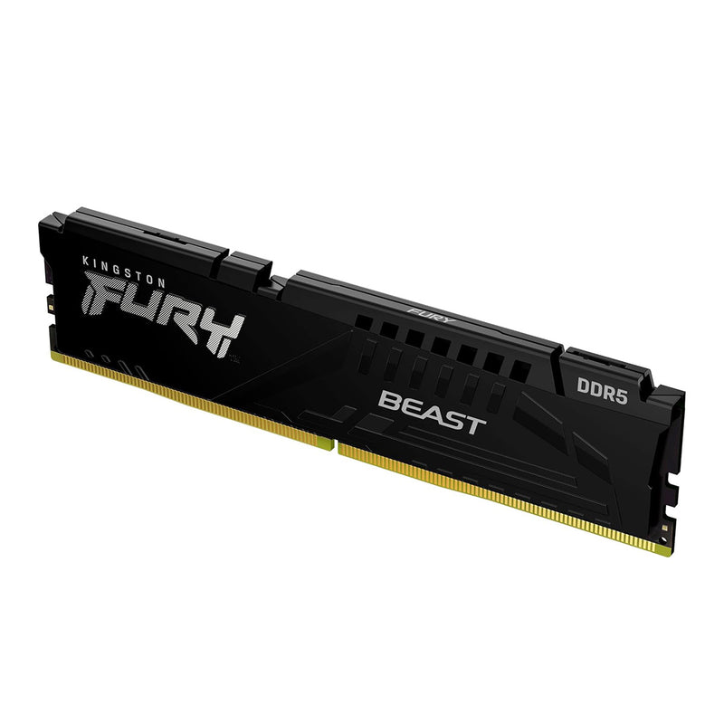 Kingston Fury Beast DDR5 5600MT/s CL36-38-38 1.25V EXPO/XMP Desktop Memory