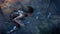 PS4 Rise Of The Tomb Raider 20 Year Celebration Reg.2 (ENG/FR)