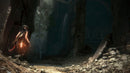 PS4 Rise Of The Tomb Raider 20 Year Celebration Reg.2 (ENG/FR)