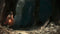 PS4 Rise Of The Tomb Raider 20 Year Celebration Reg.2 (ENG/FR)