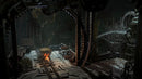 PS4 Rise Of The Tomb Raider 20 Year Celebration Reg.2 (ENG/FR)