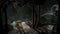 PS4 Rise Of The Tomb Raider 20 Year Celebration Reg.2 (ENG/FR)