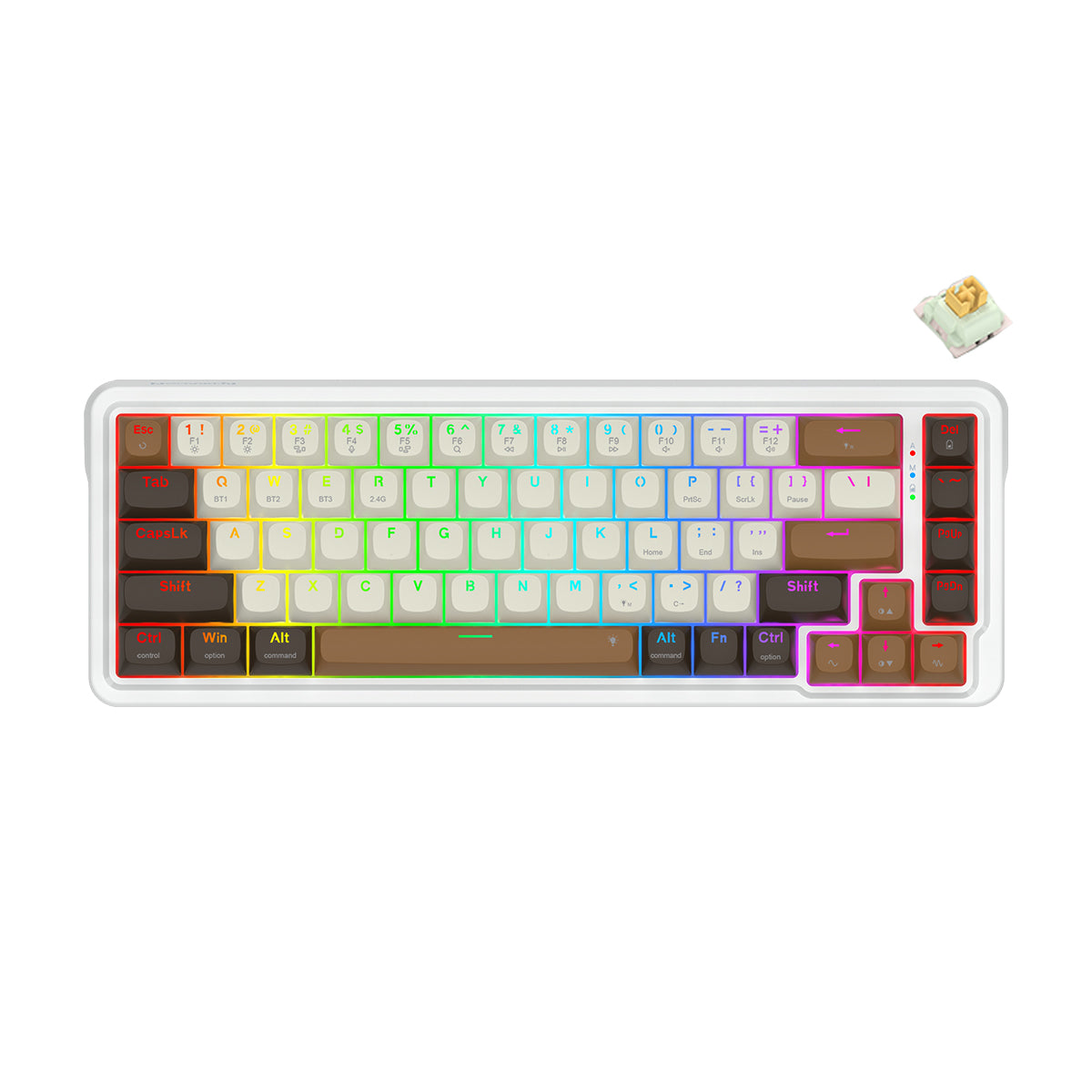 Redragon K709ECS RGB Nova Pro 81 Keys 75% Hot-Swappable