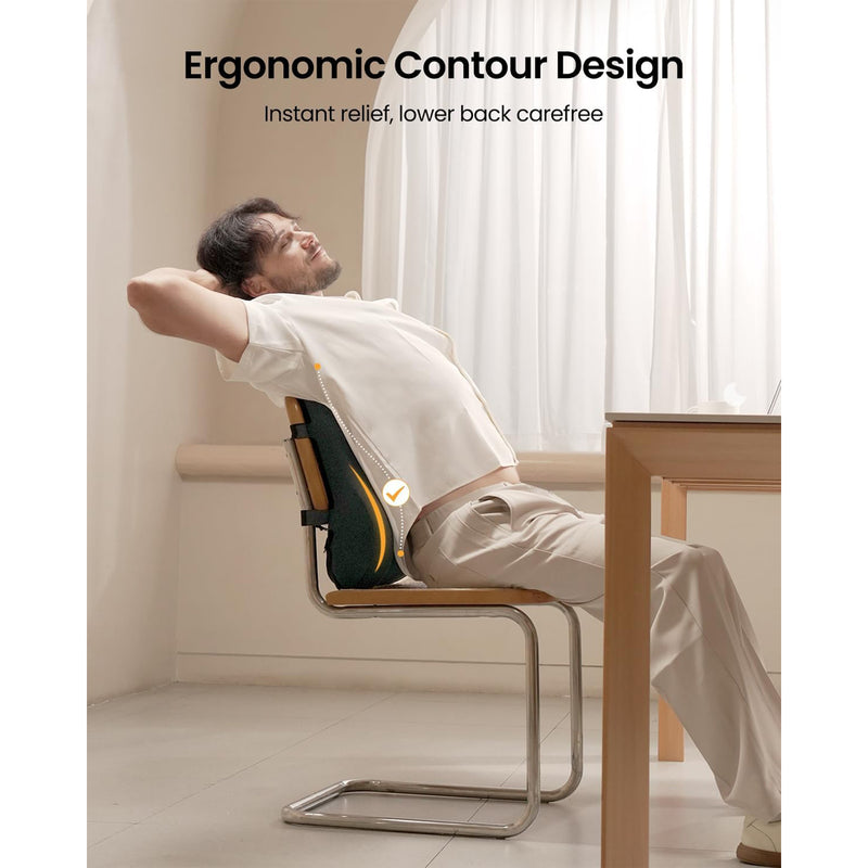 ProtoArc LP Butterfly Ergonomic Lumbar Pillow (Black) (CP016453)