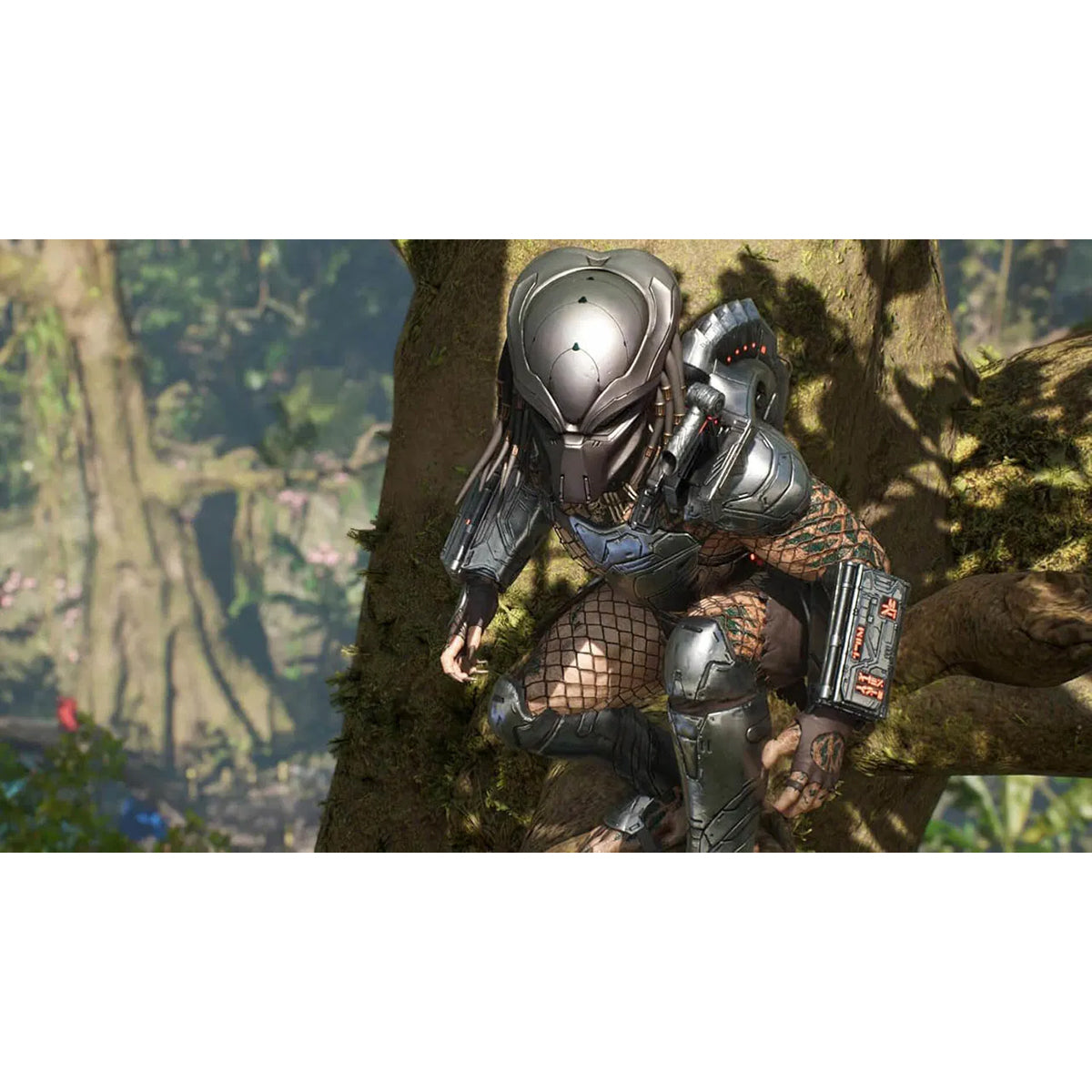 Predator Hunting Grounds