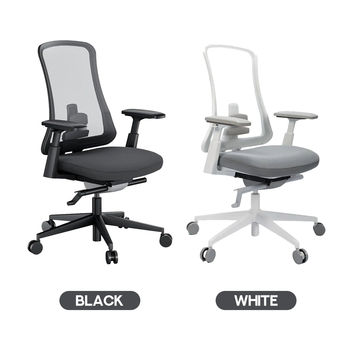 ProtoArc Flexer Pro Mesh Ergonomic Office Chair (Black, White) (CP016459, CP016460)