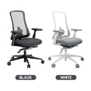 ProtoArc Flexer Pro Mesh Ergonomic Office Chair (Black, White) (CP016459, CP016460)