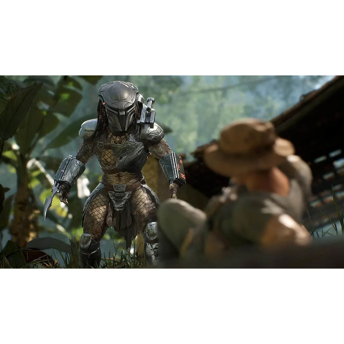 Predator Hunting Grounds