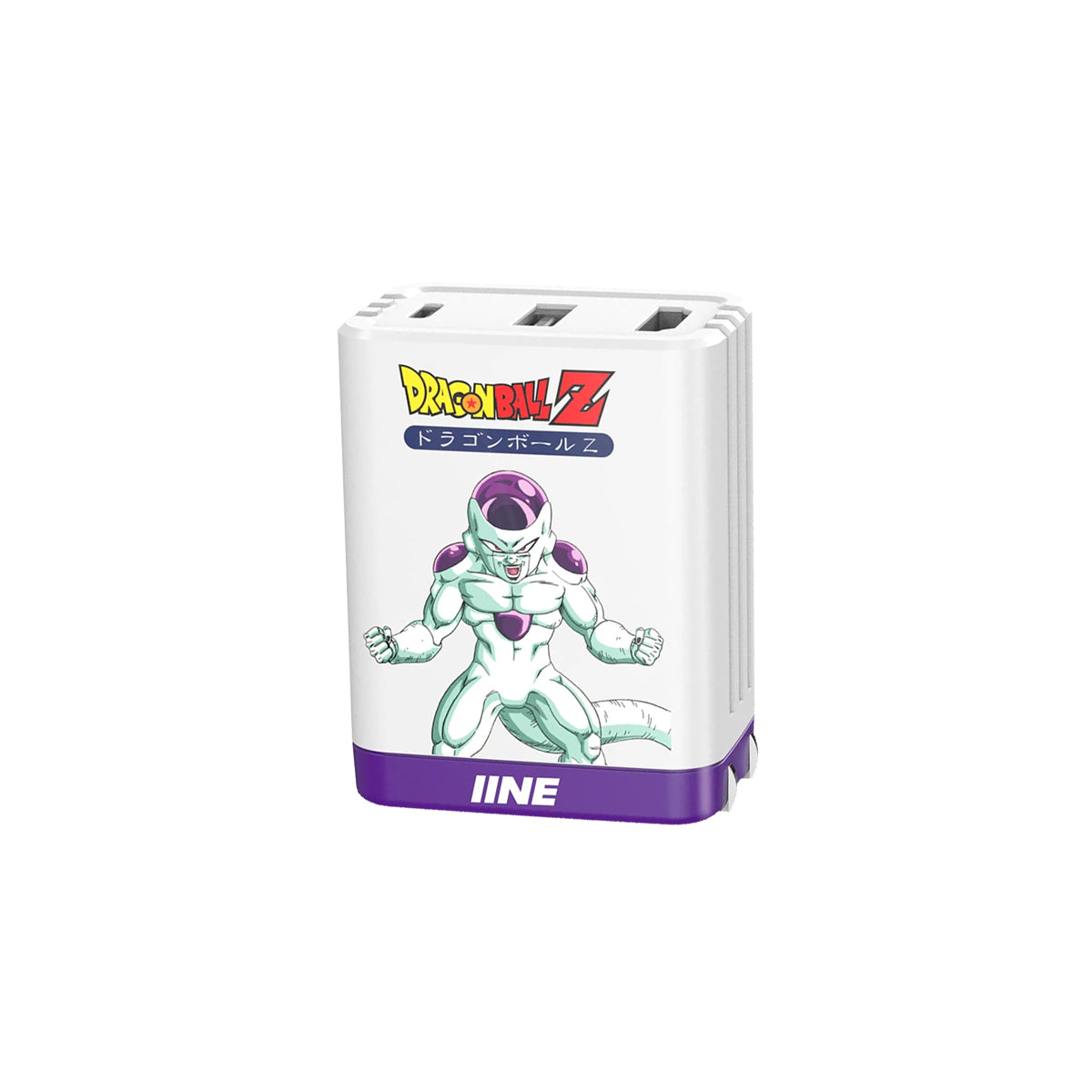IINE 65W GaN Video Converter Fast Charger