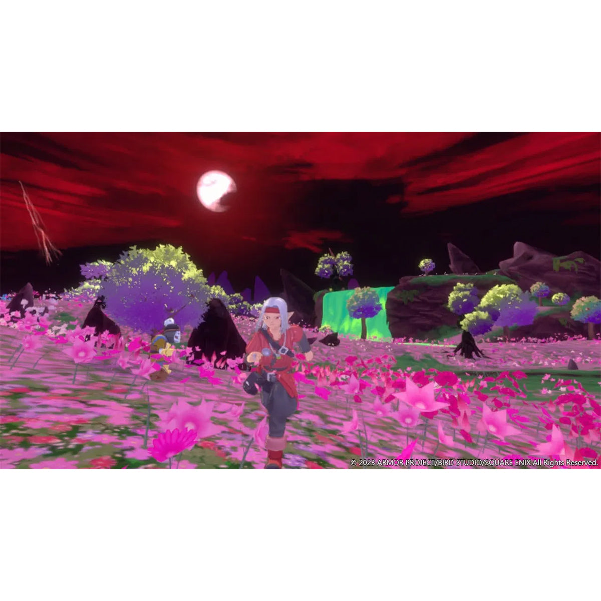 Dragon Quest Monsters The Dark Prince 