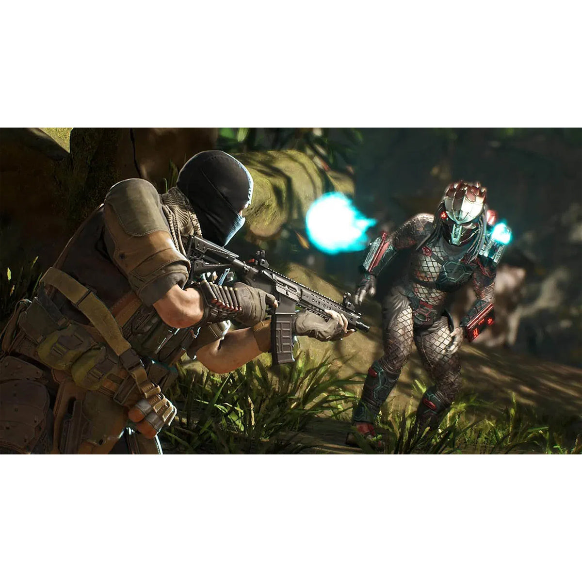 Predator Hunting Grounds