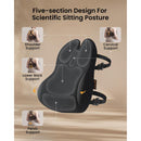 ProtoArc LP Butterfly Ergonomic Lumbar Pillow (Black) (CP016453)