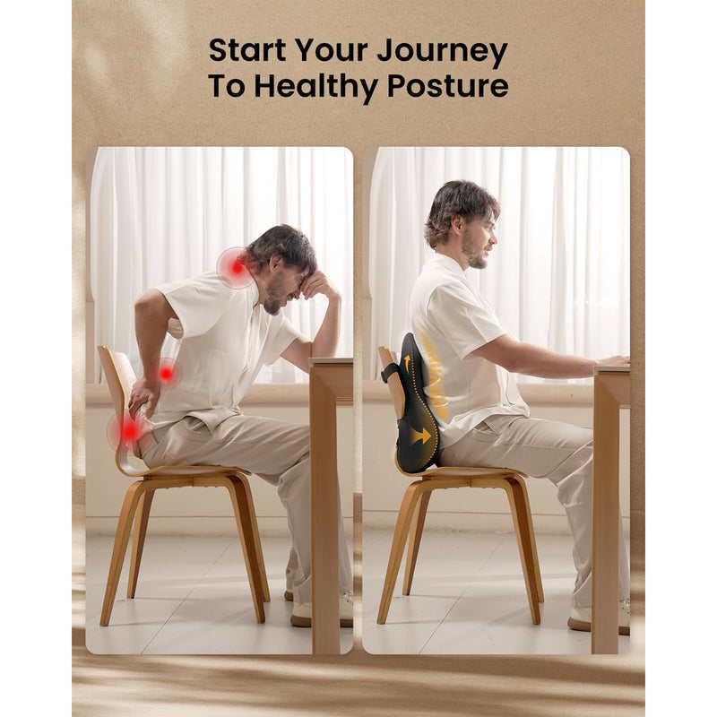 ProtoArc LP Butterfly Ergonomic Lumbar Pillow (Black) (CP016453)