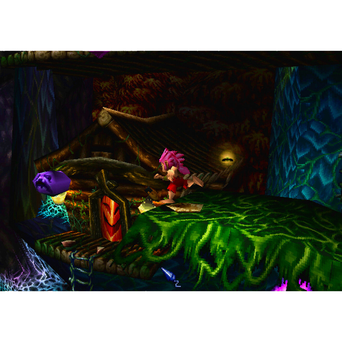 Tomba! 2 The Evil Swine Return Special Edition