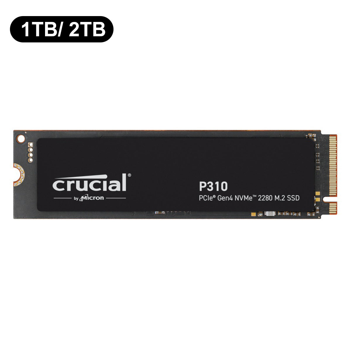 Crucial P310 PCIe Gen4 NVMe 2280 M.2 SSD | DataBlitz