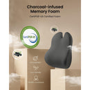 ProtoArc LP Butterfly Ergonomic Lumbar Pillow (Black) (CP016453)