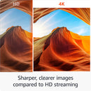 Amazon Fire TV Stick 4K Plus