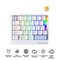 Ajazz AK029 RGB Wired 29-Keys Hot-Swappable Mechanical Keyboard (White/Blue) (Magnetic Switch)