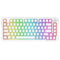 E-Yooso Z-82 RGB 81-Keys Tri-Mode Mechanical Keyboard White (Silverwood Switch)