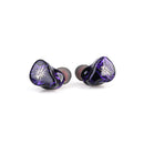 Kiwi Ears Quartet 2DD + 2BA Hybrid In-Ear Monitor