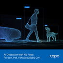 TP-Link Tapo C246D Indoor/Outdoor Dual Lense Pan/tilt Security Camera