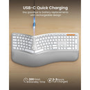 ProtoArc EK01 Plus Dual Mode Full Size Backlit Ergonomic Split Keyboard (White/Silver) (CP015756)