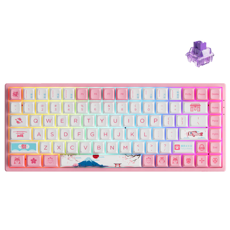 AKKO World Tour Tokyo R2 3084B Plus Mechanical Keyboard (AKKO CS Jelly Purple)