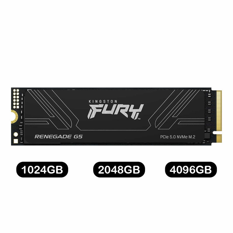 Kingston Fury Renegade G5 PCIe Gen5 NVMe M.2 2280 SSD | DataBlitz
