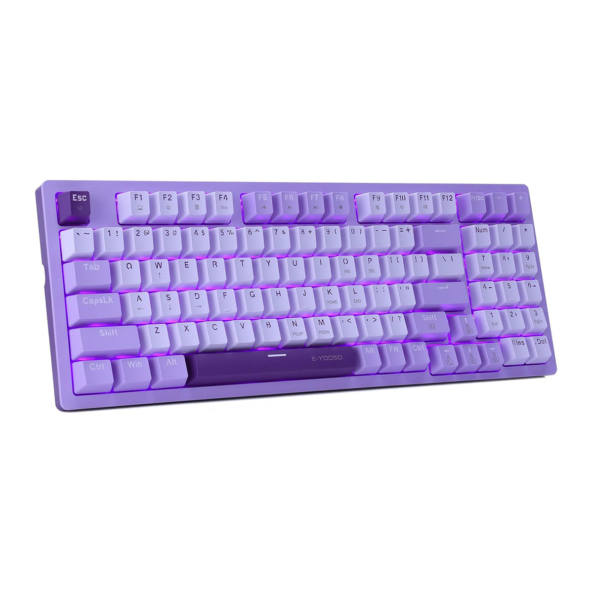 E-Yooso Z-94 Single Light 94-Keys Hot-Swappable Wired Mechanical Keyboard Light Purple (Blue Switch)