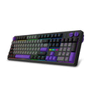 E-Yooso Z-104 Rainbow Light Wired Mechanical Keyboard Grey/Black/Purple (Silverwood Switch)