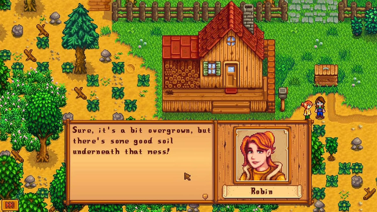 Nintendo Switch 2 Stardew Valley
