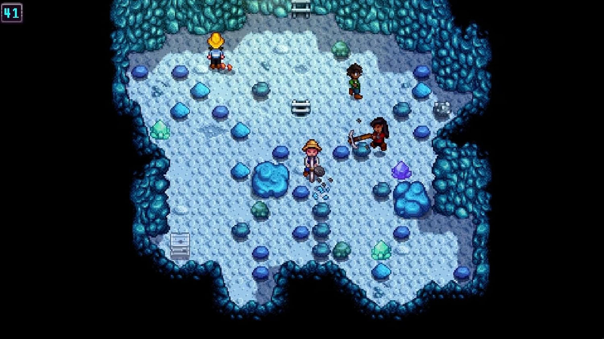 Nintendo Switch 2 Stardew Valley