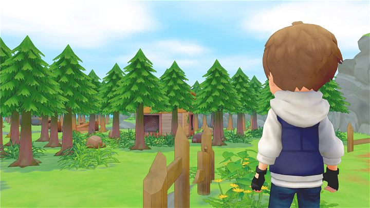 NINTENDO SWITCH STORY OF SEASONS PIONEERS OF OLIVE TOWN 