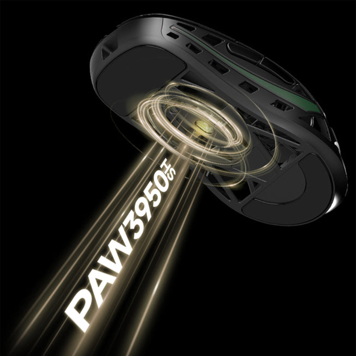 WLMouse Strider Magnesium Gaming Mouse