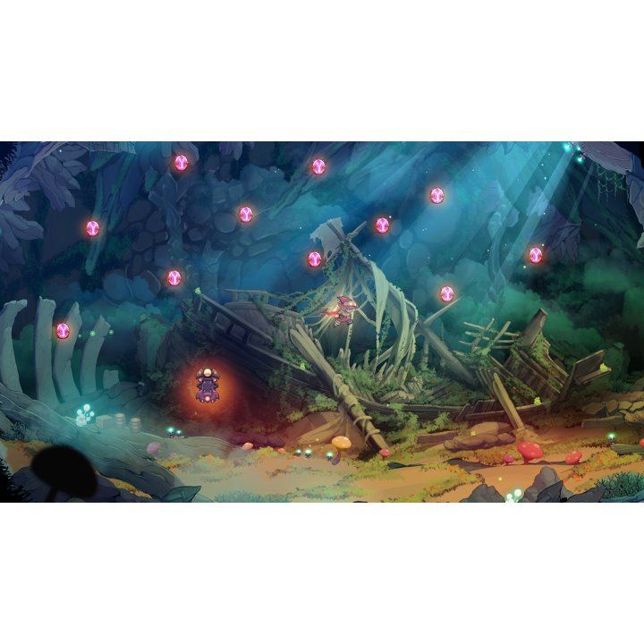 NINTENDO SWITCH THE KNIGHT WITCH DELUXE EDITION