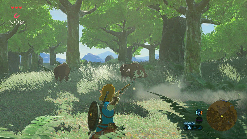 The Legend of Zelda Breath of the Wild | DataBlitz