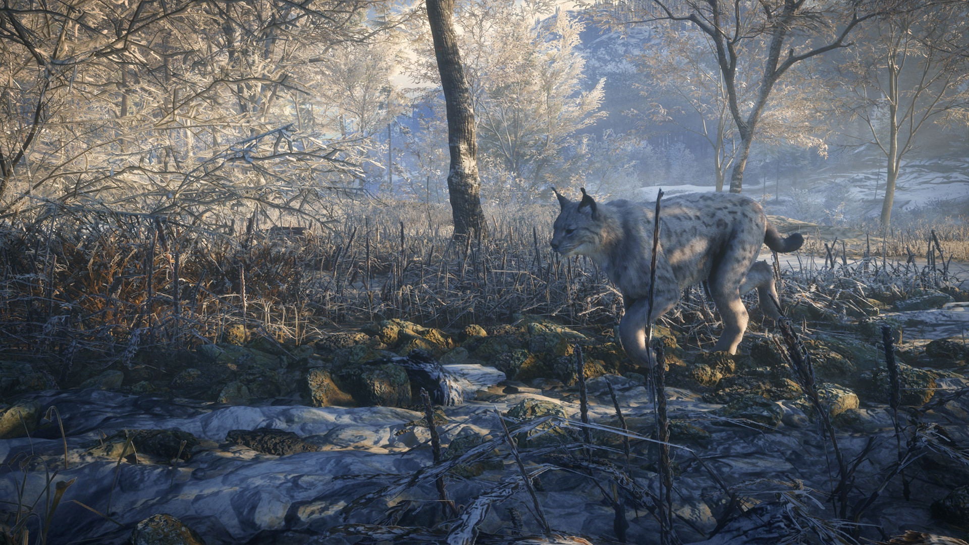 XBOXONE The Hunter Call Of The Wild 2019 Edition (EU) (Eng/FR/SP)