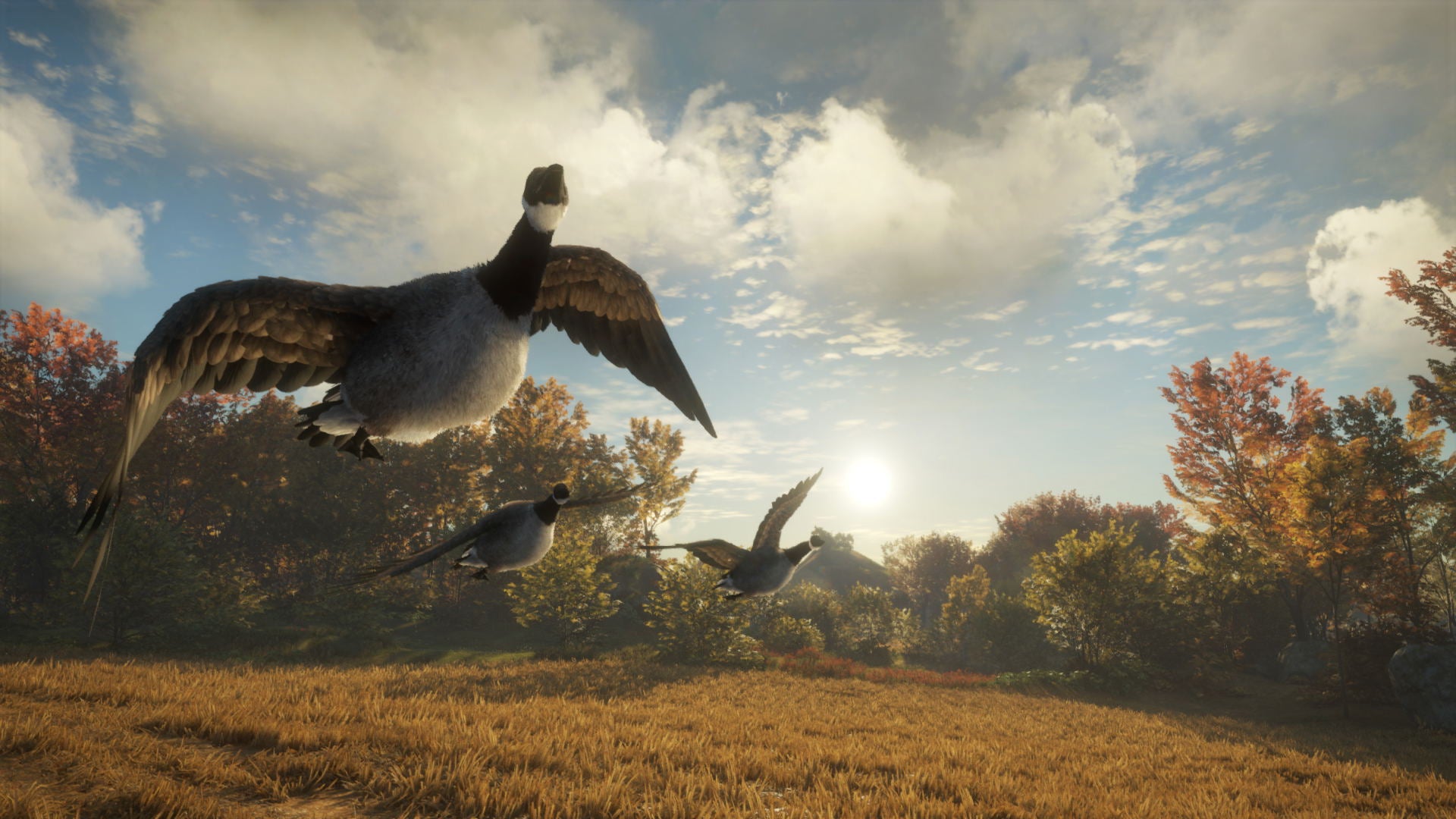 XBOXONE The Hunter Call Of The Wild 2019 Edition (EU) (Eng/FR/SP)