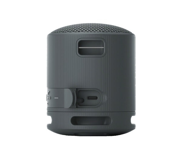 Sony SRS-XB100 Wireless Speaker