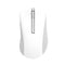 Asus MD102 Wireless Mouse (White, Dark Grey)