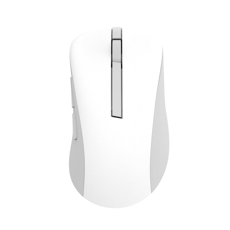 Asus MD102 Wireless Mouse (White, Dark Grey)