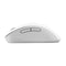 Asus MD102 Wireless Mouse (White, Dark Grey)