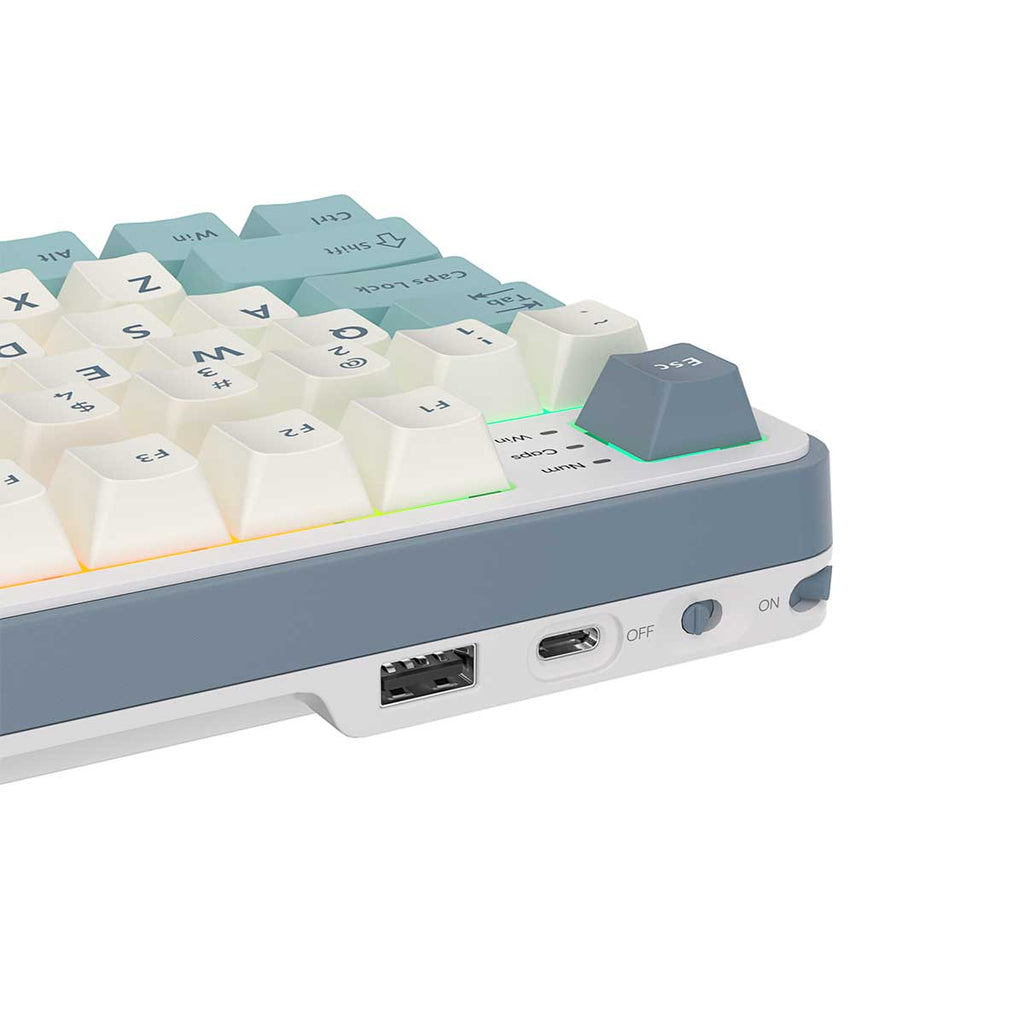 Royal Kludge RK-S98 Tri-Mode RGB 98 Keys Hot Swappable Mechanical ...