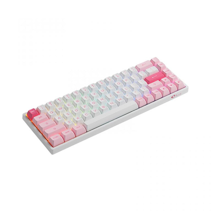 Akko Prunus Lannesiana 3068B Plus Multi-Modes RGB Mechanical Keyboard (Akko CS Jelly Purple)