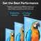 Vention 8K Mini DisplayPort to DisplayPort Cable - 2M (HCFLH)