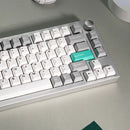 Keychron Lemokey P1 QMK/VIA Fully Assembled with Knob (Pro Version) RGB Backlight Hot-Swappable 75% Custom Gaming Keyboard - Space Silver (Super Banana Switch) (P1P-X4)